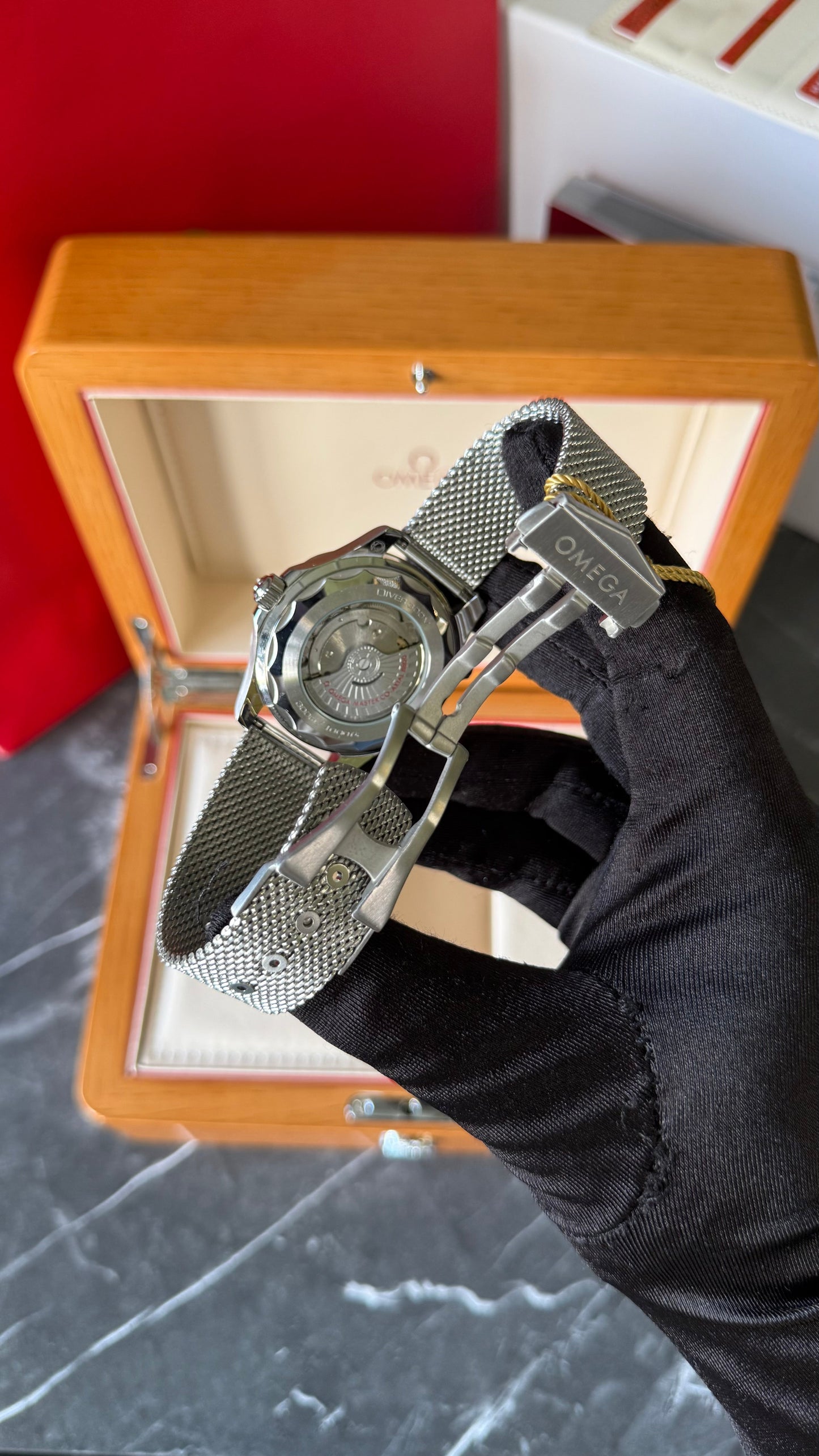 OMG SEAMASTER z2 (FULLPLATA)