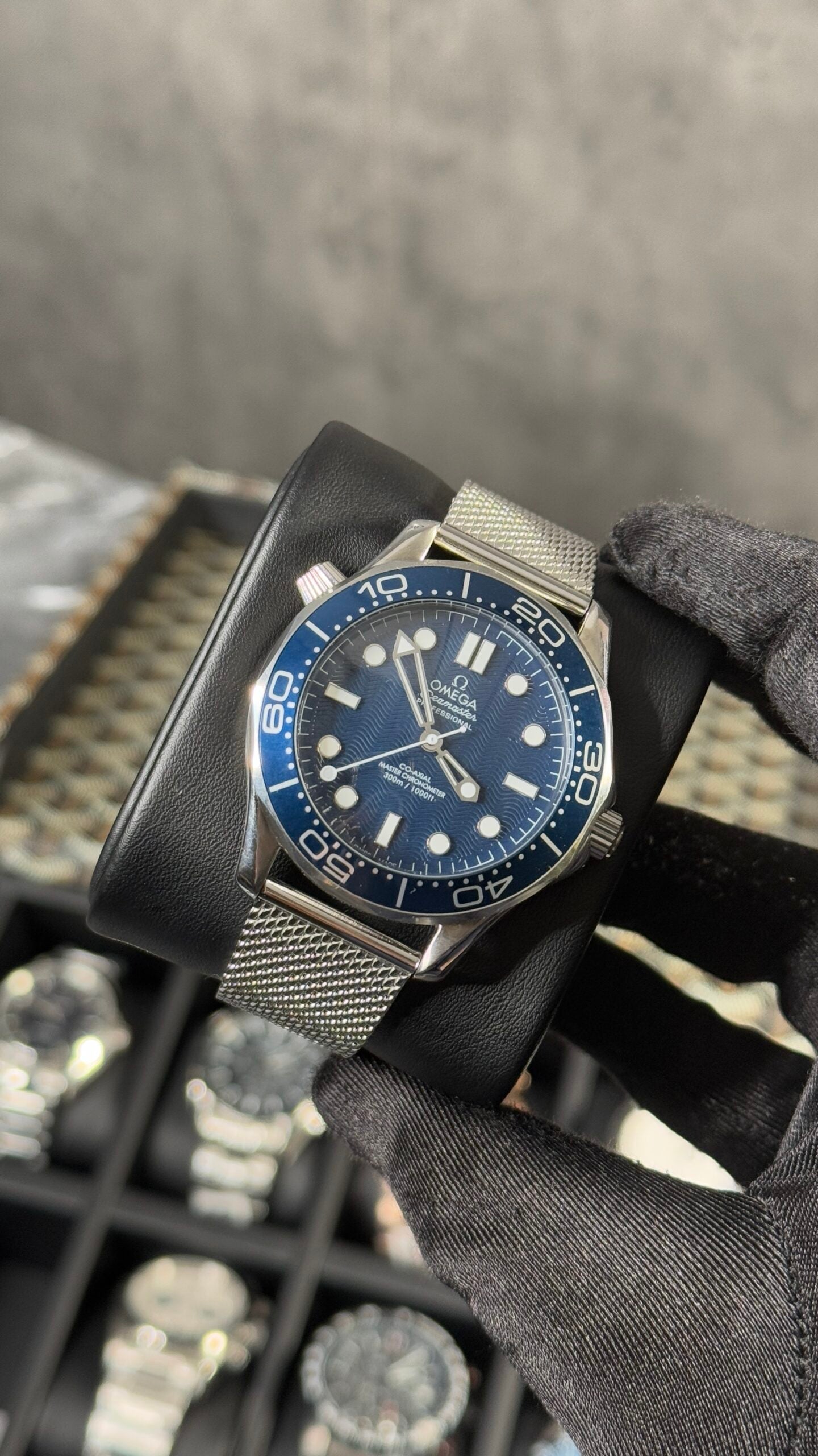 OMG SEAMASTER (PLATA-AZUL-S)