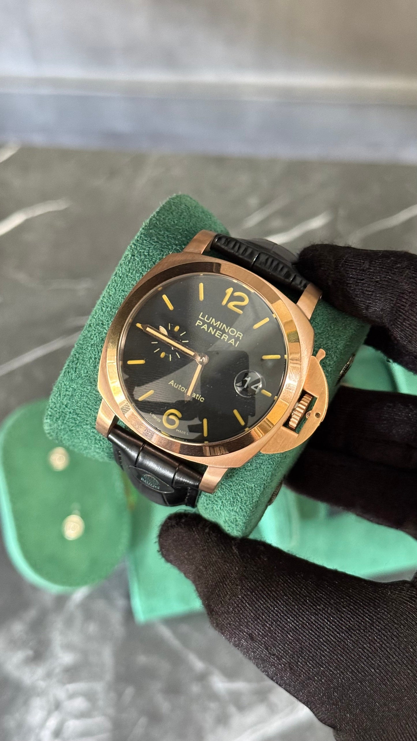 PNRAI ESF1 (ORO ROSA) CORREA DE PIEL NEGRO