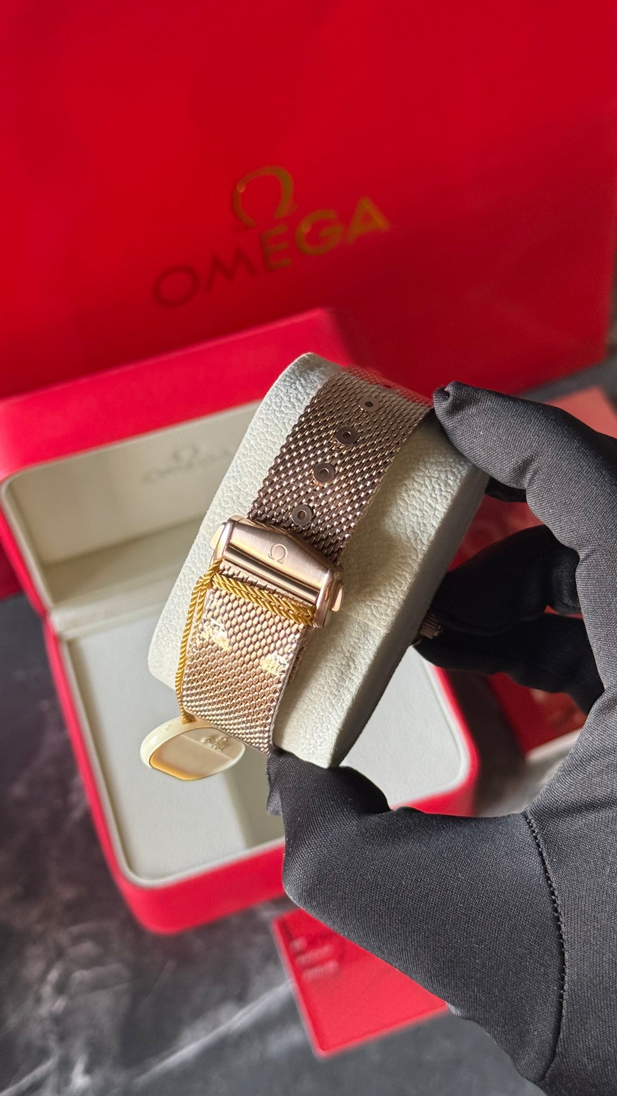 OMG SEAMASTER ORO ROSA/ ROJO/NEGRO