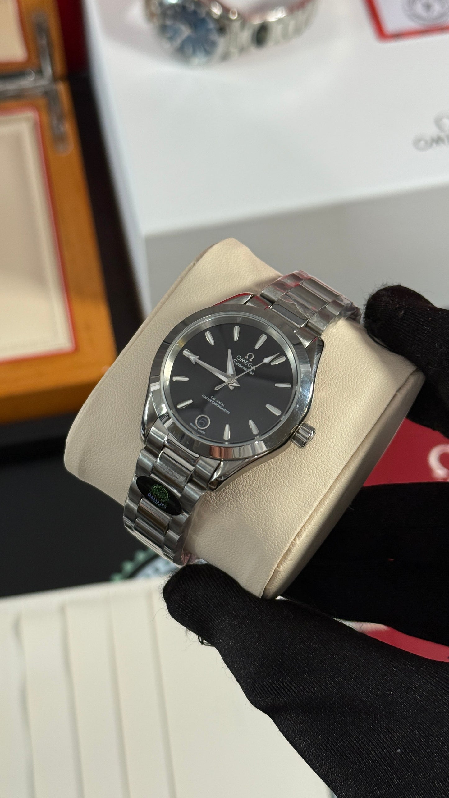 OMG AQUA TERRA (PLATA/NEGRO) 34mm