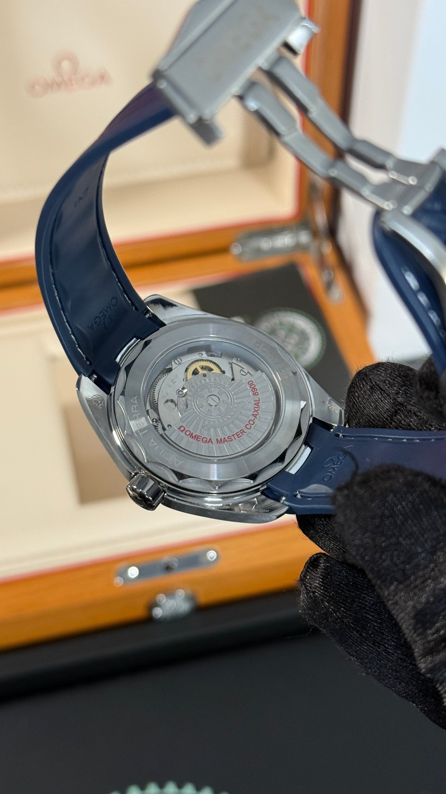 OMG SEAMASTER (PLATA/AZUL) OY